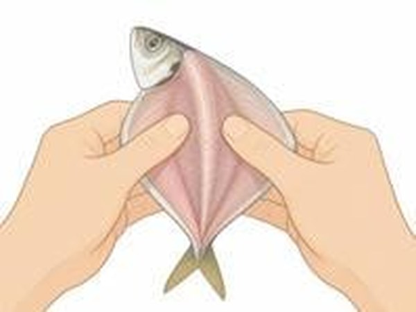親指で中骨に沿って開く手開き