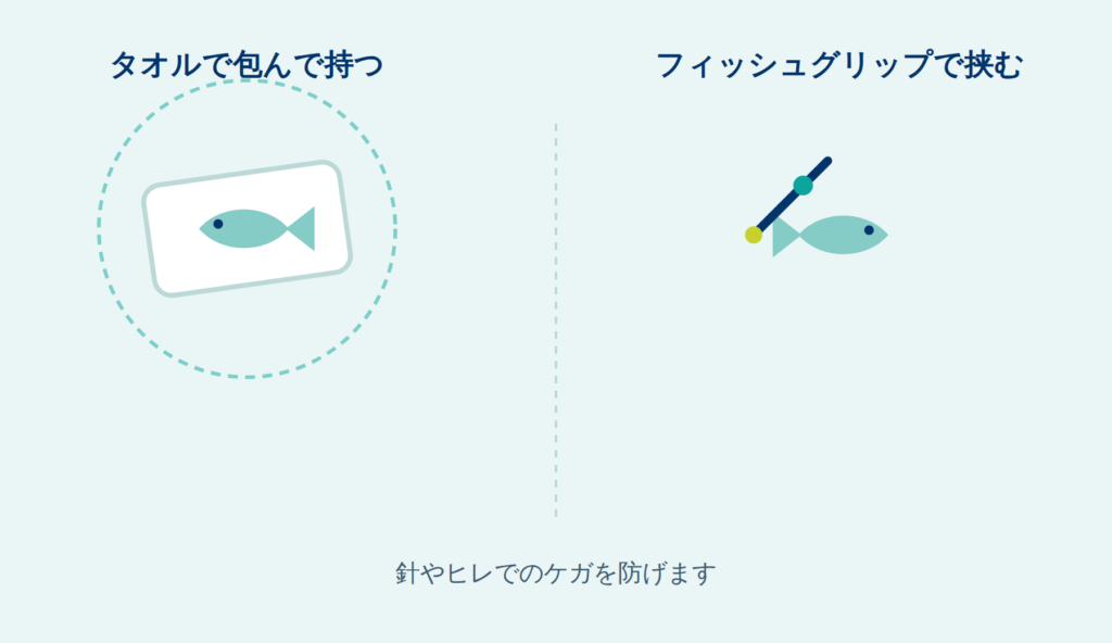 画像に alt 属性が指定されていません。ファイル名: guide-kodomo-fishgrip-1024x592.png