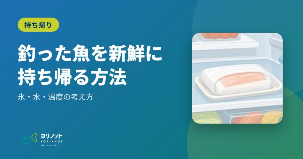 釣った魚を新鮮に持ち帰る方法|氷・水・温度の考え方
