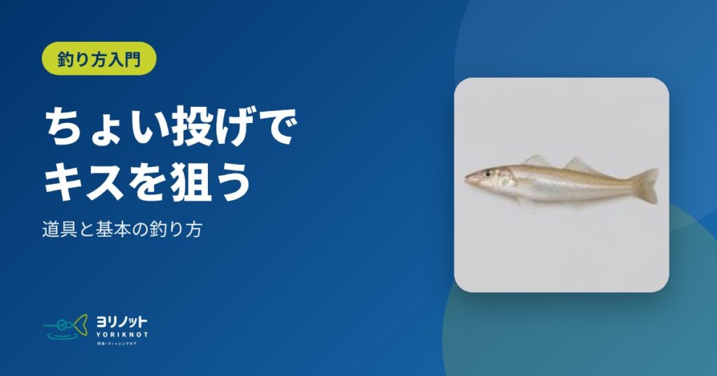 ちょい投げでキスを狙う|道具と基本の釣り方