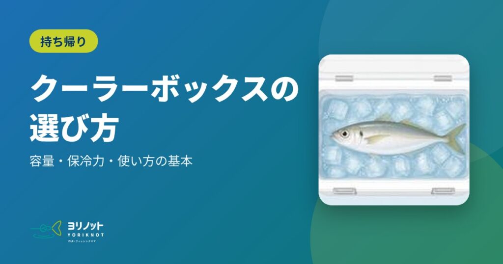 クーラーボックスの選び方|容量・保冷力・使い方の基本