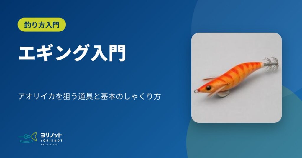 エギング入門|アオリイカを狙う道具と基本のしゃくり方